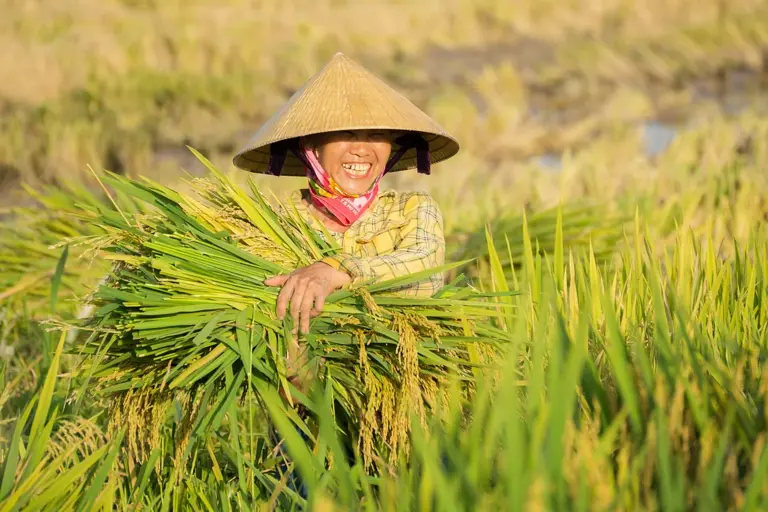 Vietnam diversifies export markets beyond key buyers China, US and ...