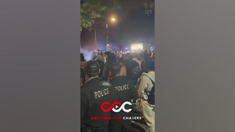 5 Chicago police officers hit by car while trying to break up 'teen ...