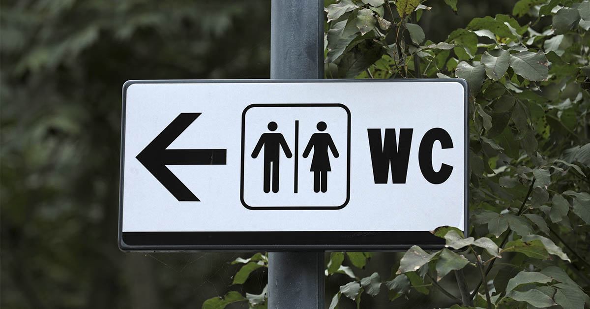 WC Sitz aus Holz mit Absenkautomatik 