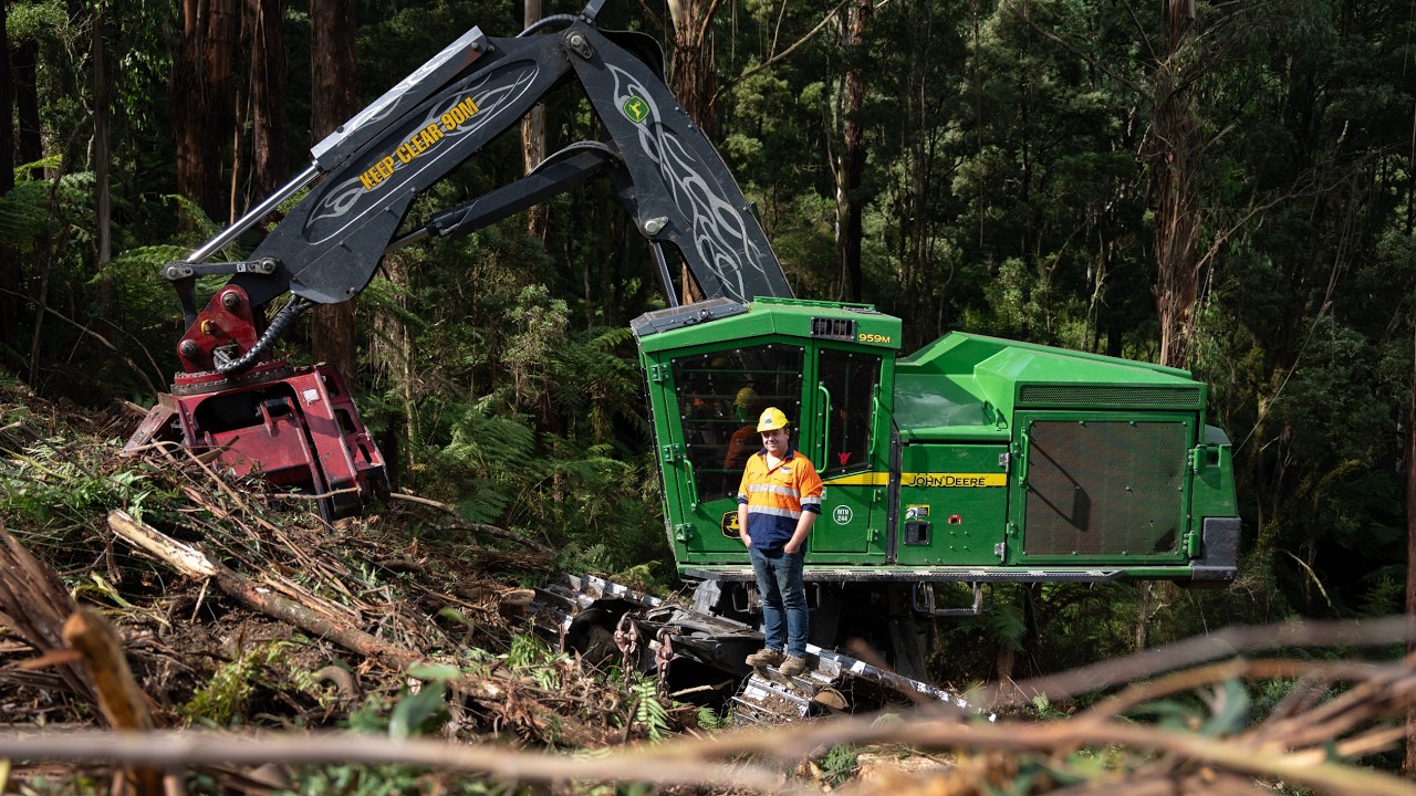 Giant tree clearing machine working deep in the forest
