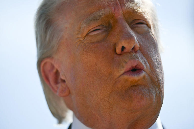Trump to become immune to IRS audits with new settlement