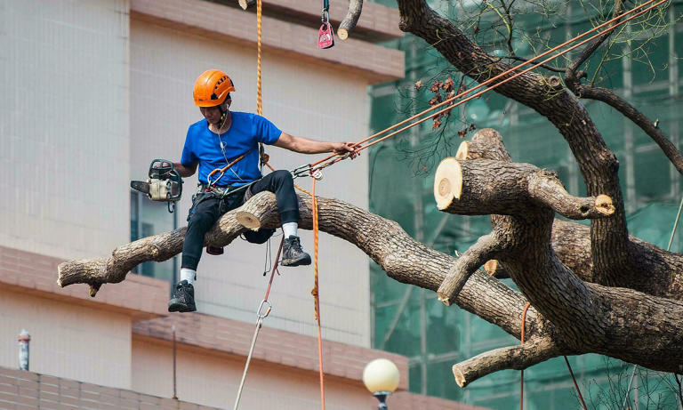 Former athlete overcomes fear of heights to become China’s first female ...