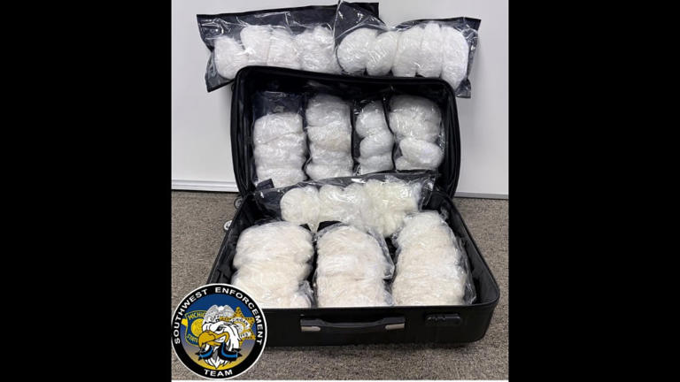 Man arrested after chase, 50 pounds of meth found in Berrien County