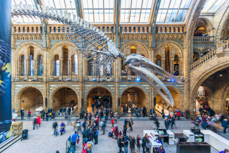 12 museums for kids in London you don't want to miss