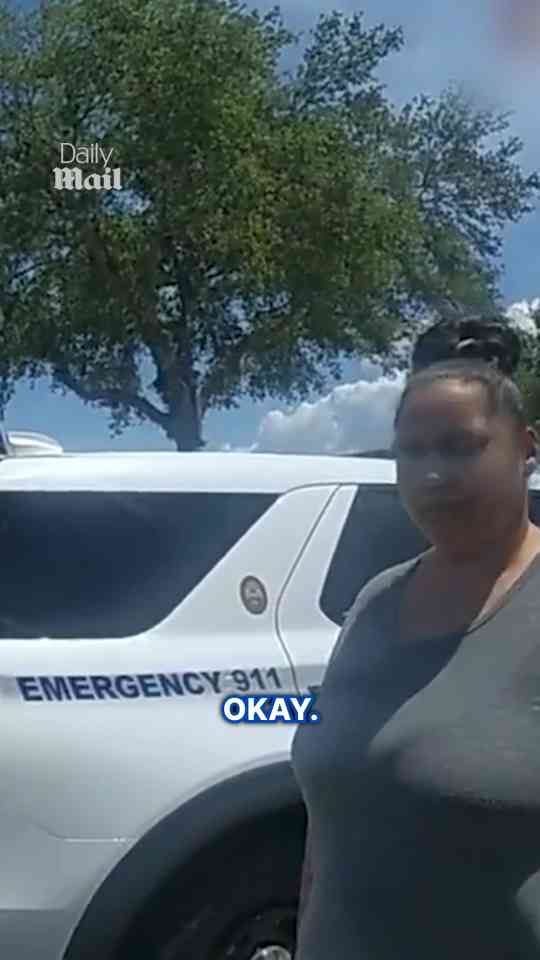 Police rescue puppy trapped inside hot car in Florida