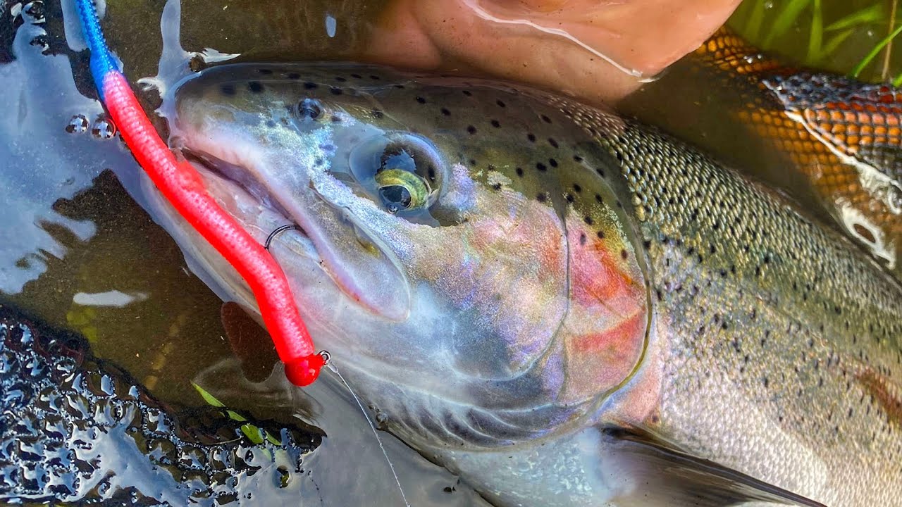 After Work Challenge SUCCESS & Riverside Campfire LUNCH!! Steelhead ...