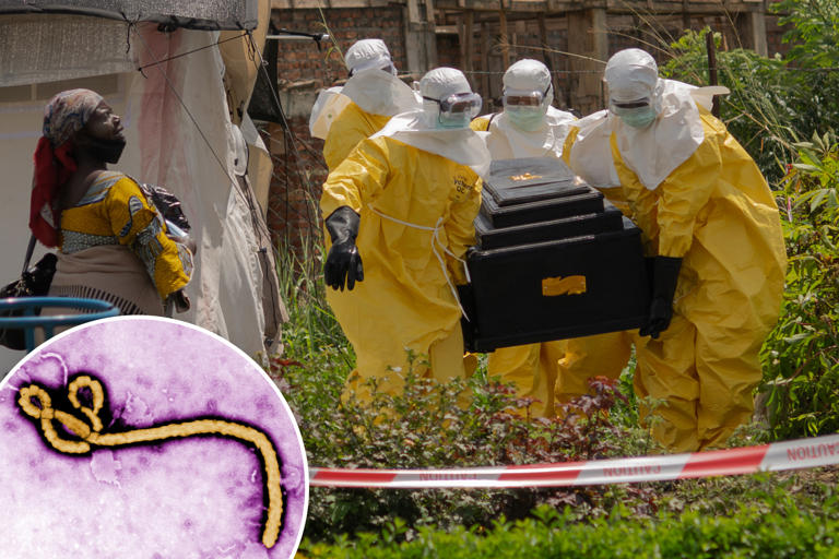 What is the deadly Ebola Bundibugyo variant — and do Americans need to ...