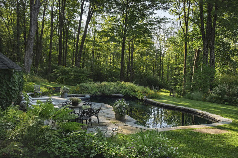 Low-maintenance landscaping trends for stress-free summer entertaining