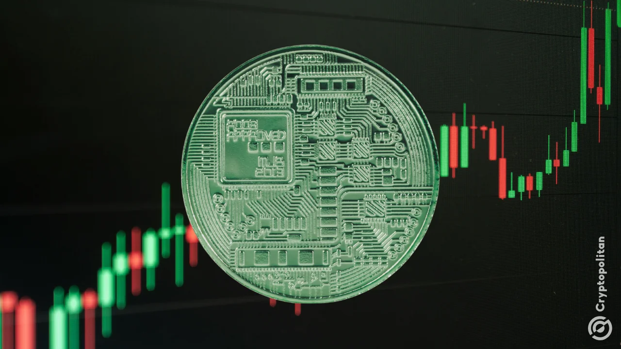 NEAR rallies 75% in one week as short squeeze and AI rotation converge