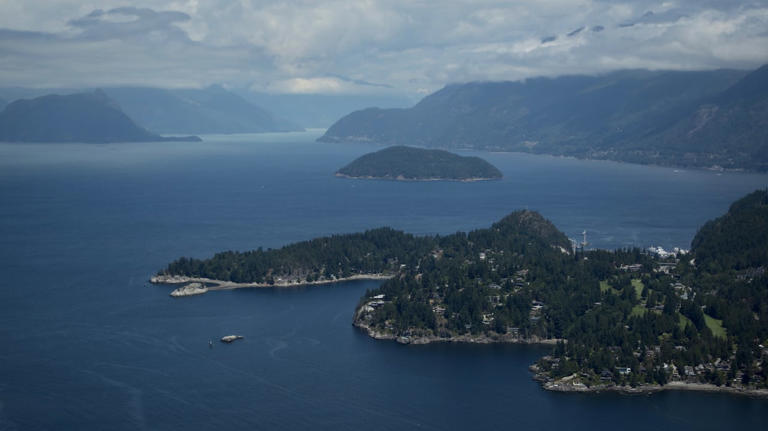 How a BC town is finding new life, more than 50 years after its mine closed