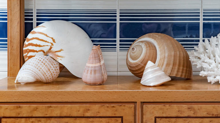 How to best save seashells to use as decor