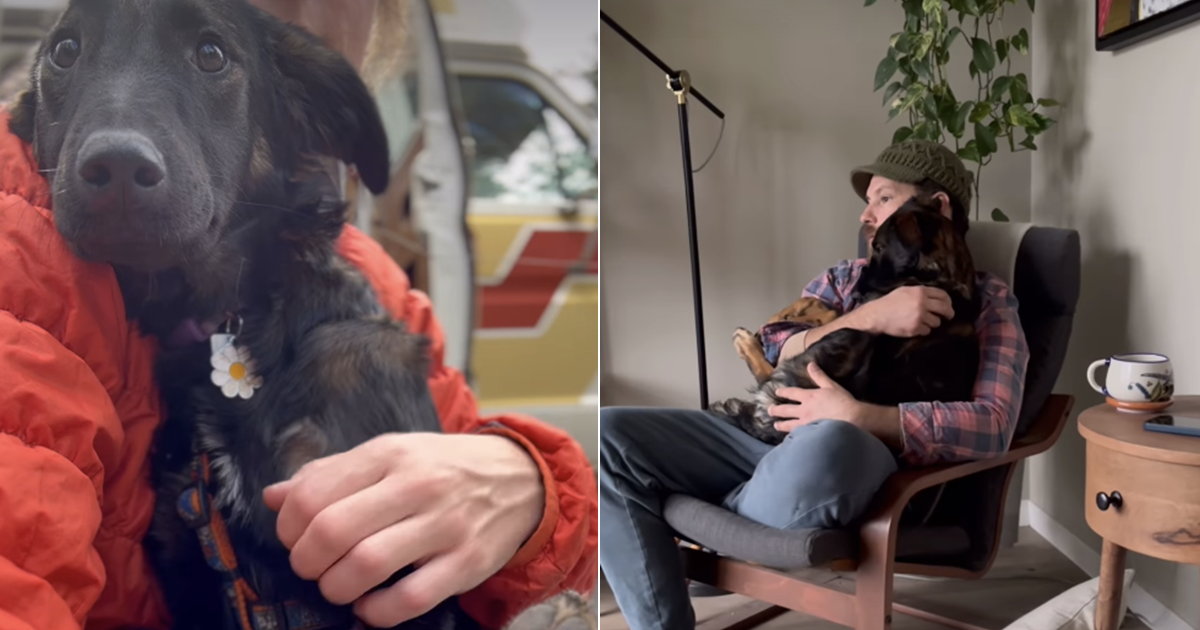 Scared Rescue Dog Finds Safe Space in Two Loving Humans Once Adopted