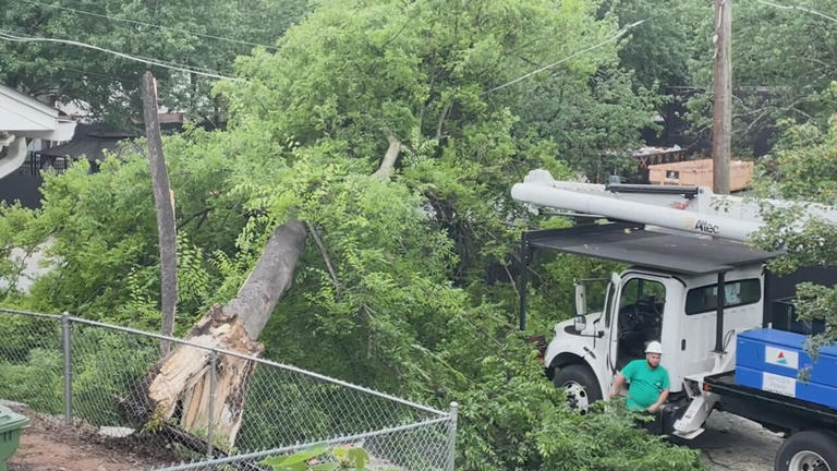 Continued heavy downpours too much for 60-foot tree in Southeast Atlanta