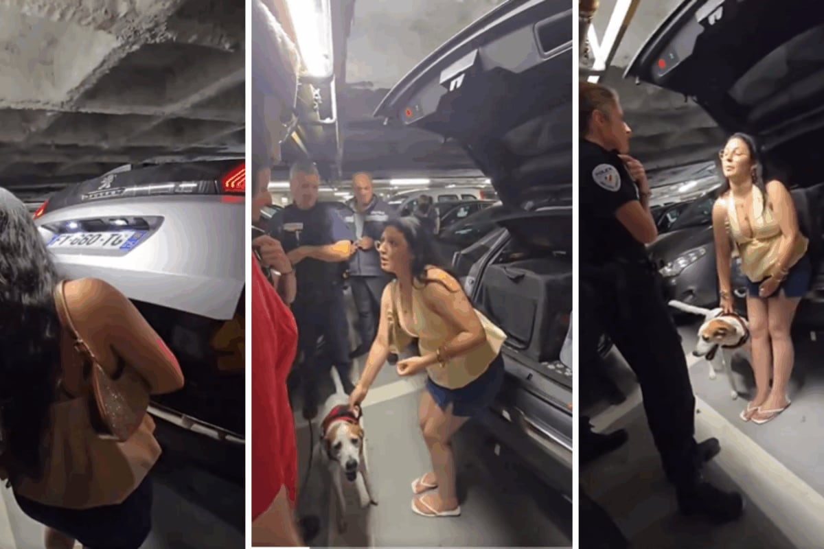 'This is animal cruelty': Woman accused of leaving 11-year-old dog in ...