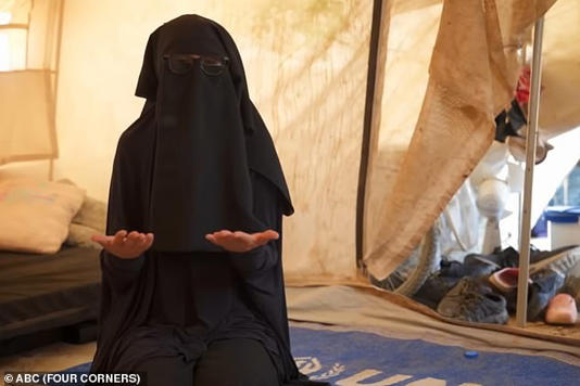 Aminah Zahab, who said her son convinced her and other family members to go to Syria, is expected to land in Sydney