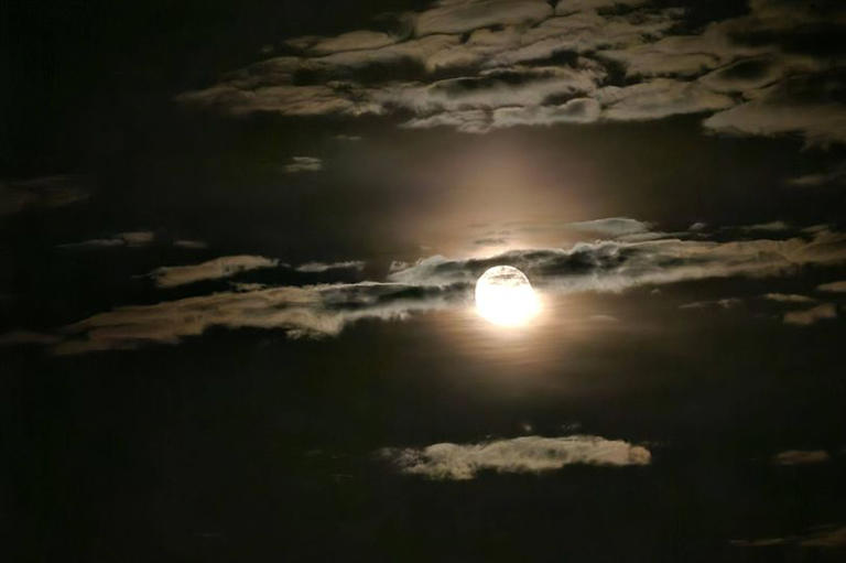Best place in Devon to see incredibly rare blue moon in just a few days ...