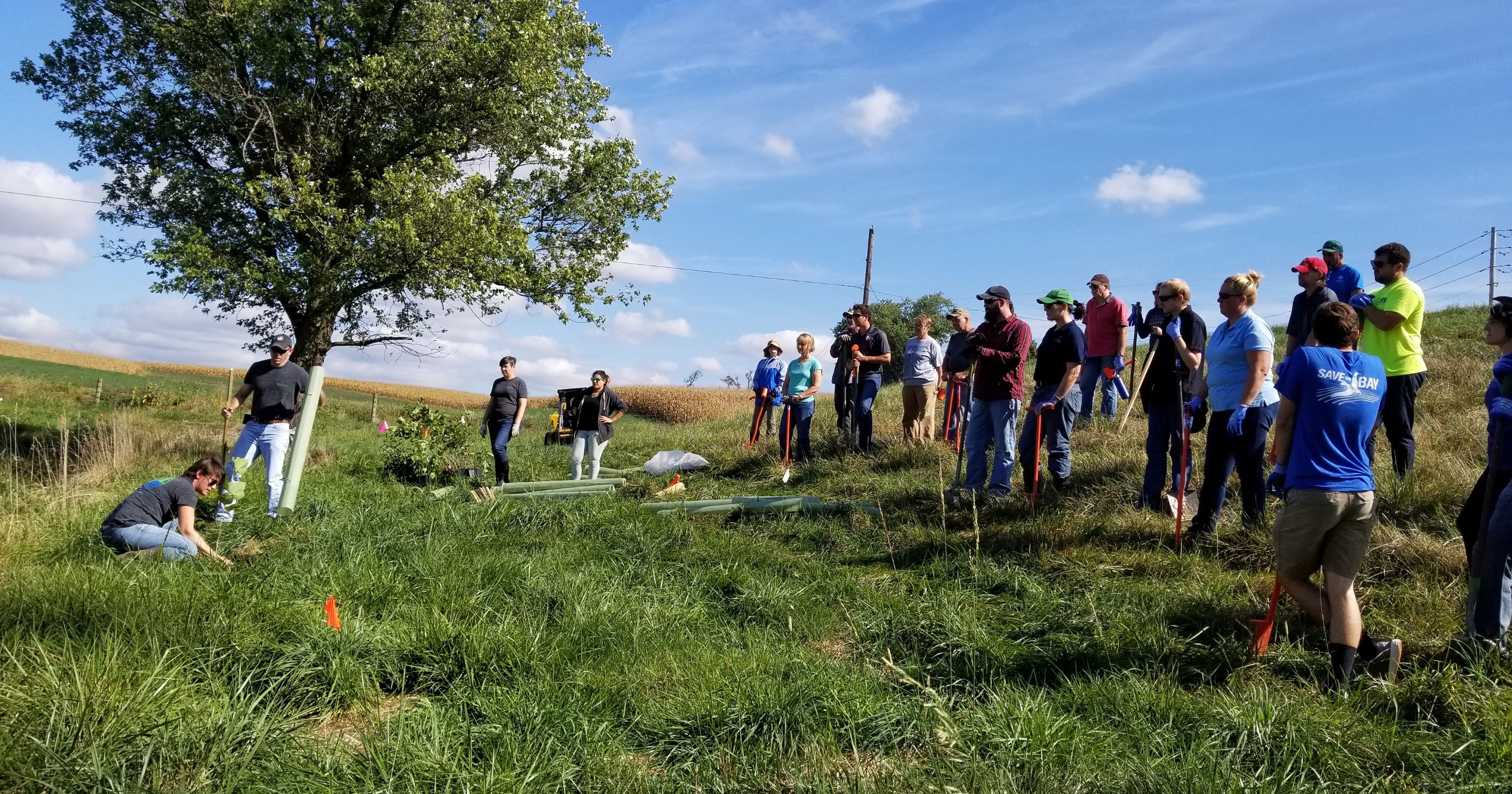 Pennsylvania hits 10M tree goal with Hummelstown planting