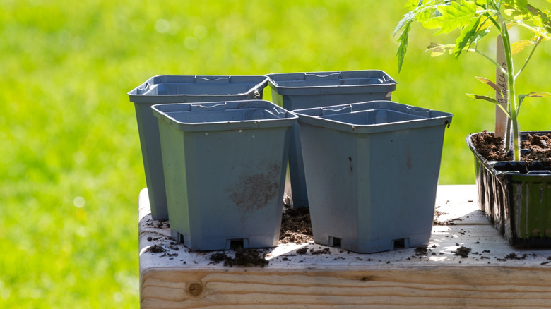 Don't toss old nursery pots, use them to attract beneficial insects to ...