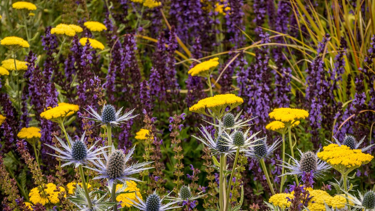 This simple 3-plant formula is the secret to an elevated backyard