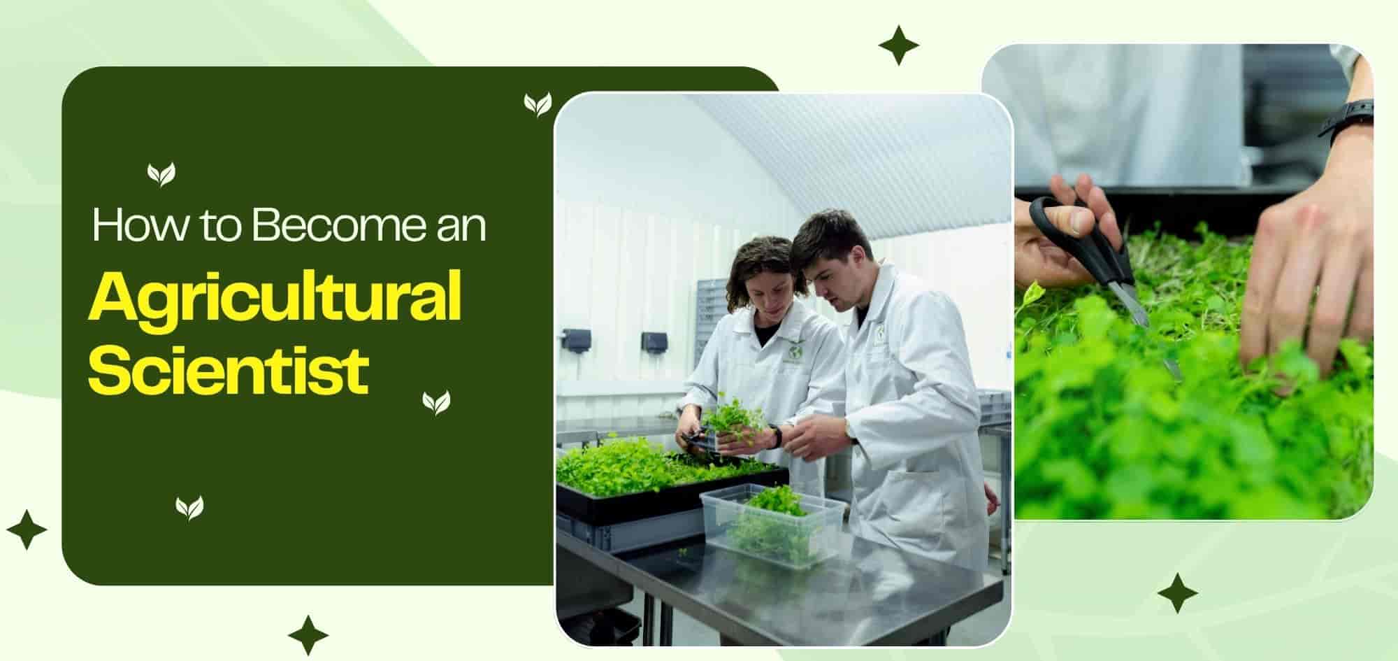 How to become an agricultural scientist: Step-by-step career guide