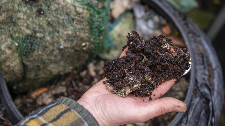 Not food scraps, not paper: The bizarre item you could be adding to ...
