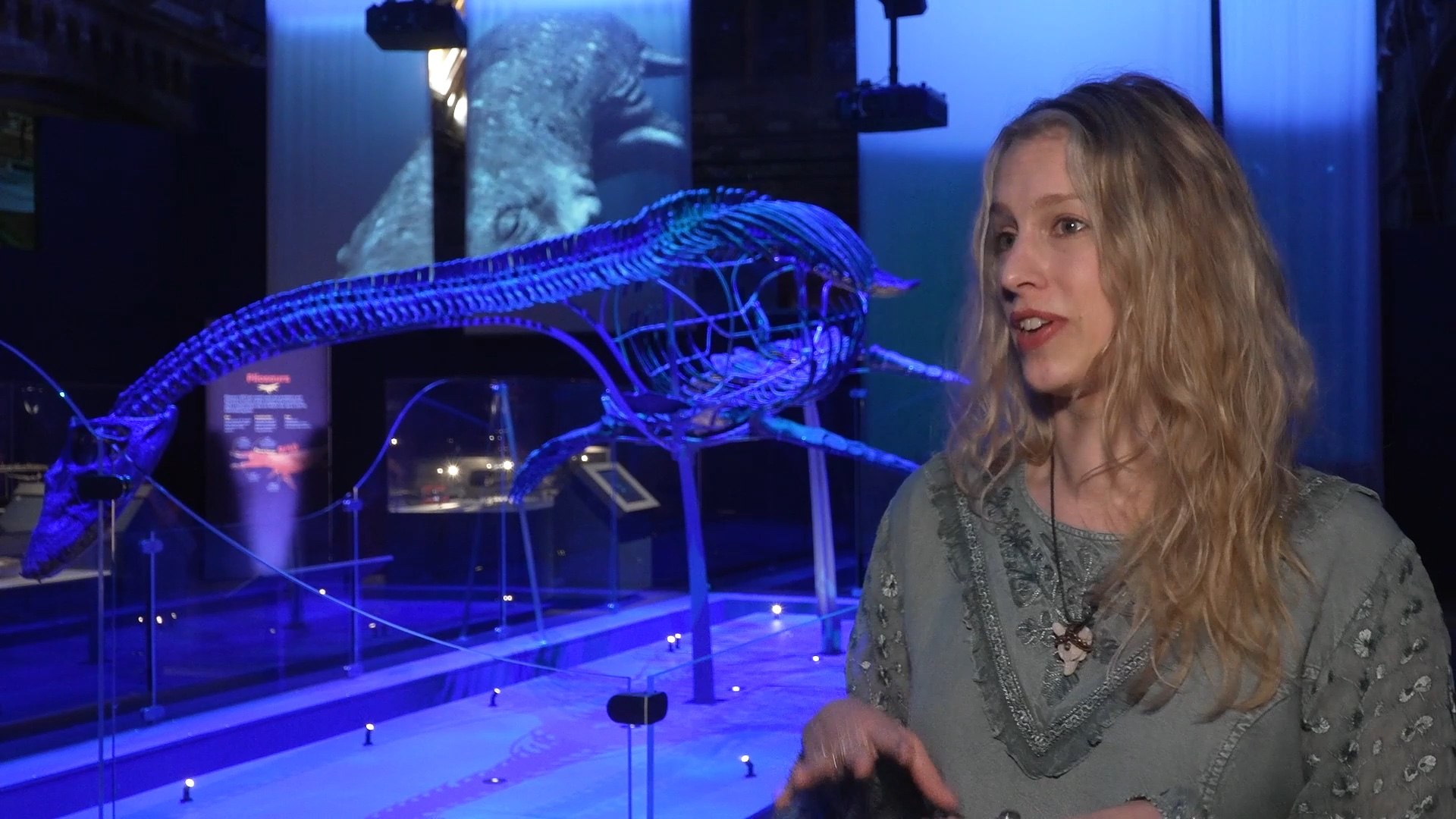 Natural History Museum opens Jurassic Oceans exhibition, 'taking you ...