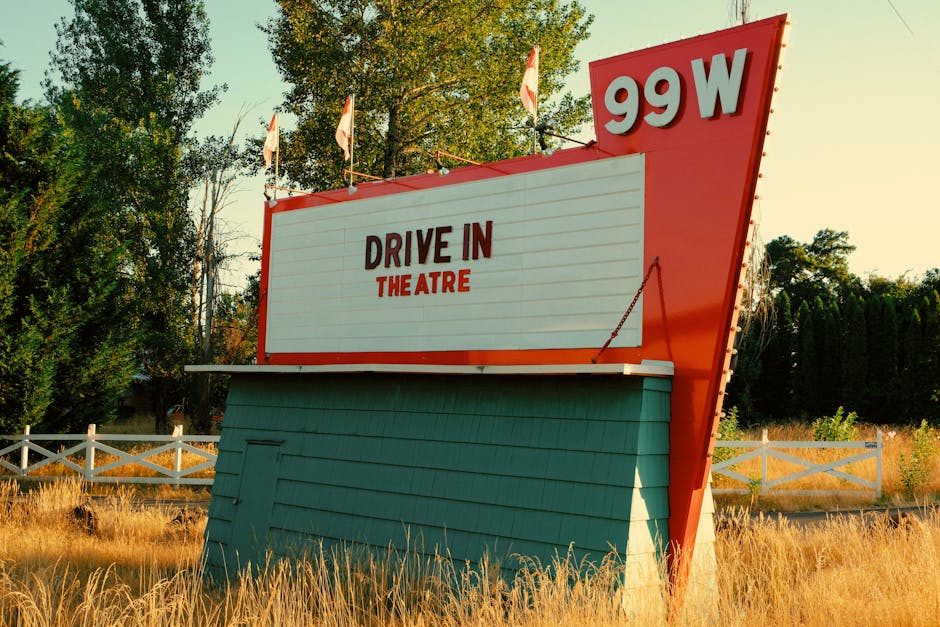 Drive-in theaters offered something that indoor cinemas never could replace