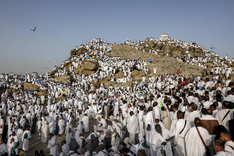 Pilgrims pray on Mount Arafat as hajj reaches peak