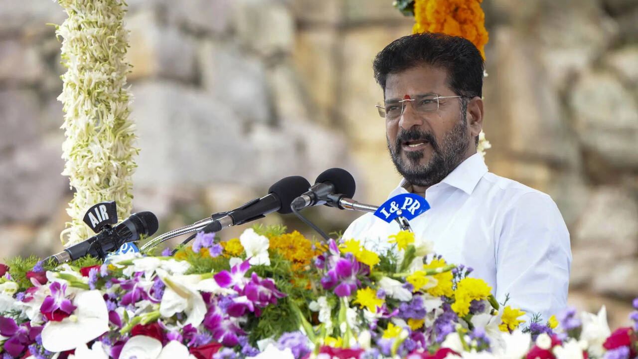 Revanth Reddy unveils mega plan to create 1 crore 'millionaire women ...