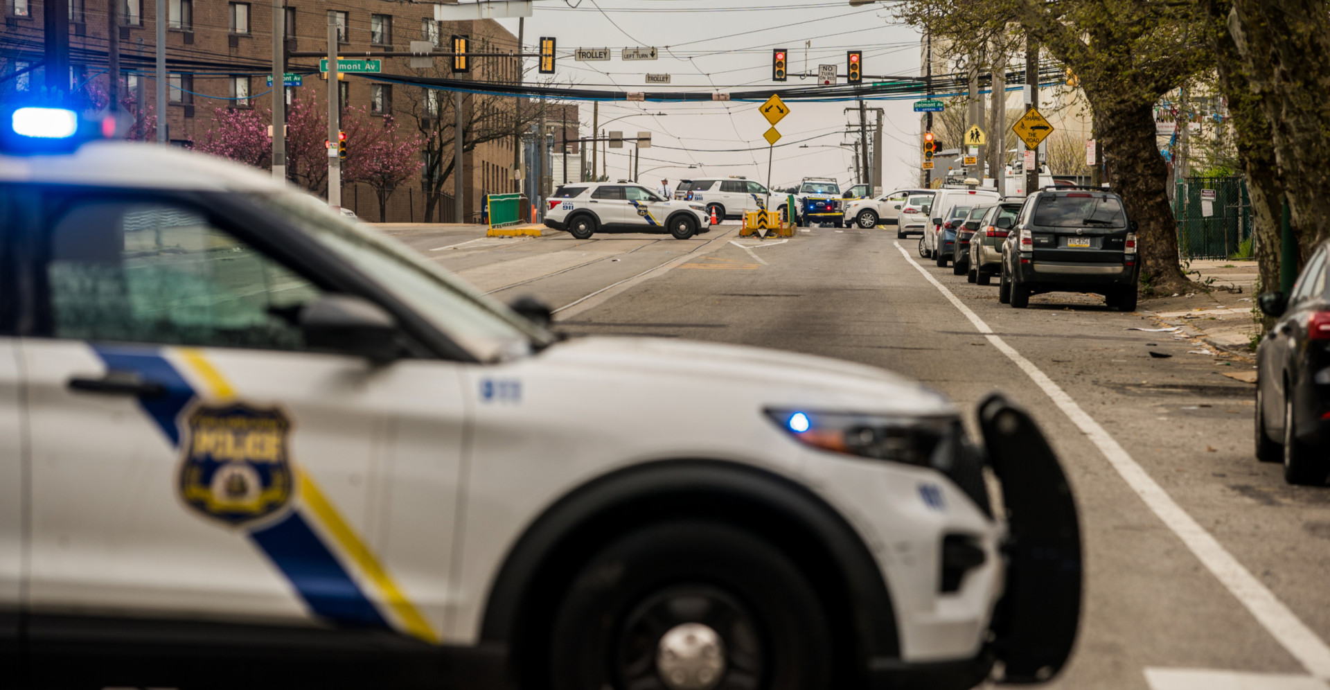 Decoding mass-shooter psychology