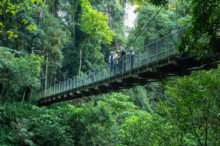 Aroha's Way main image 1