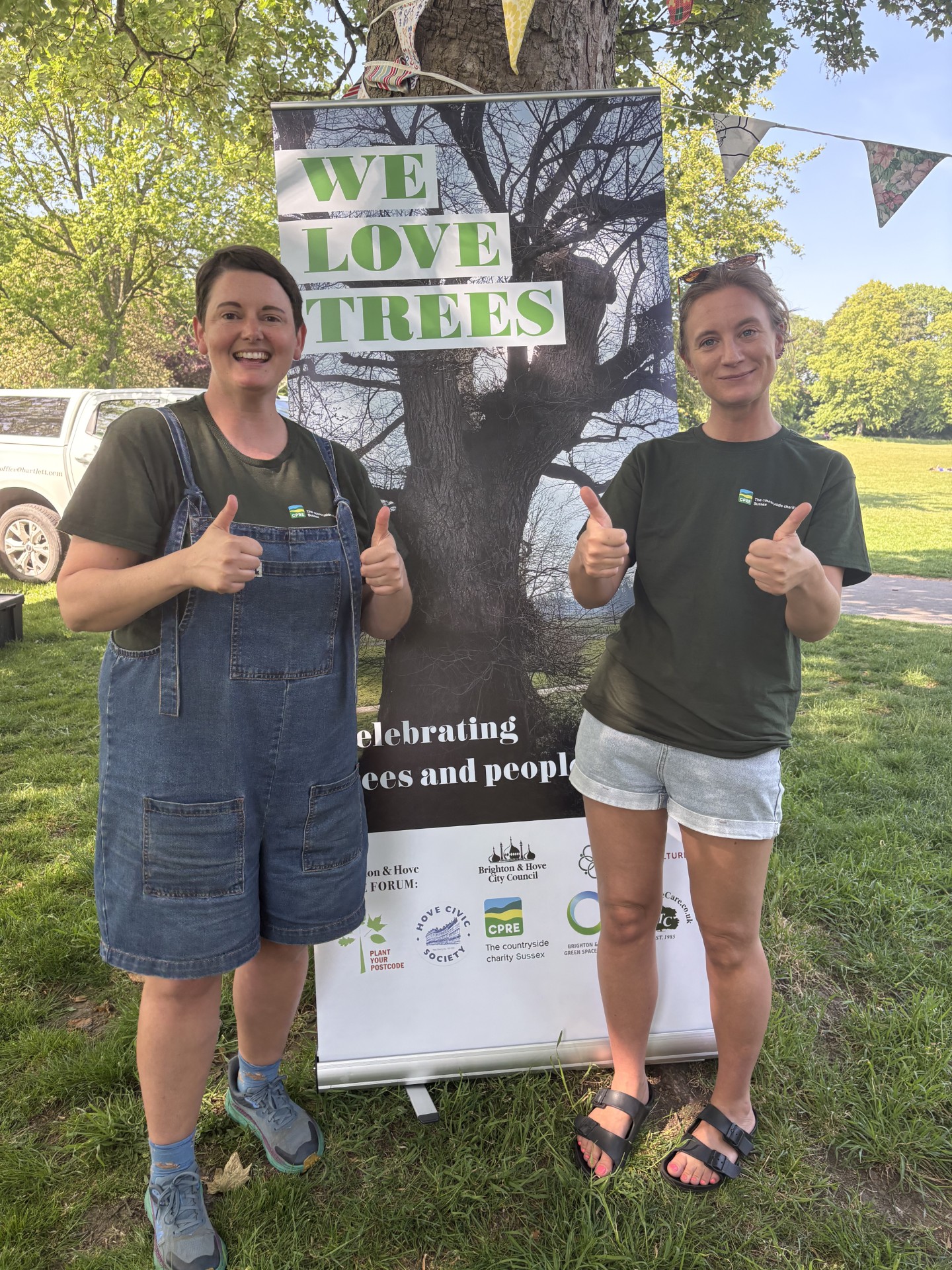 Pictures: Tribute to the trees in Sussex