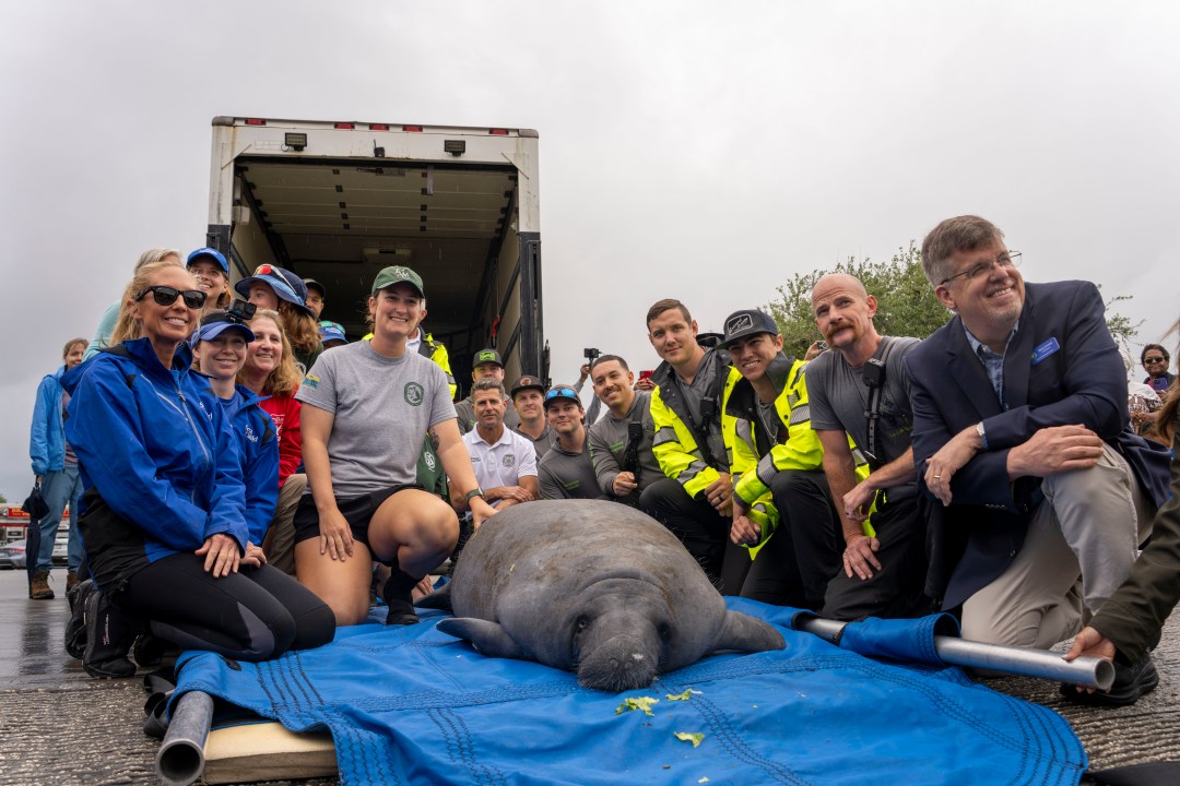SeaWorld rescues 43K animals, hitting major milestone