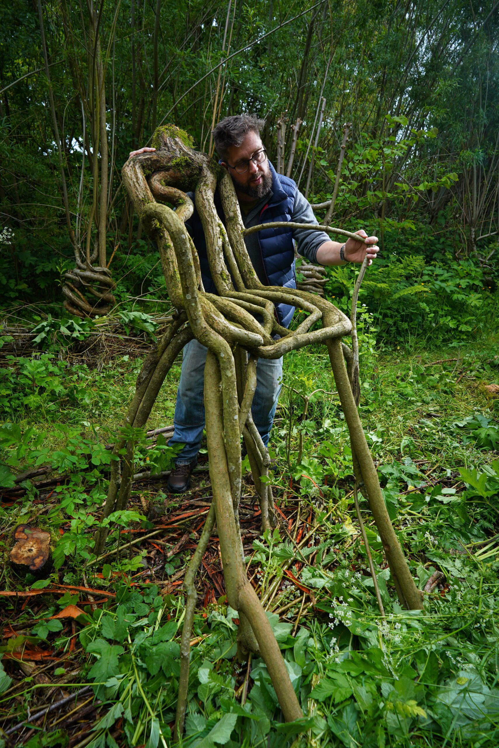 Britain’s first ‘furniture orchard’ grows chairs on trees