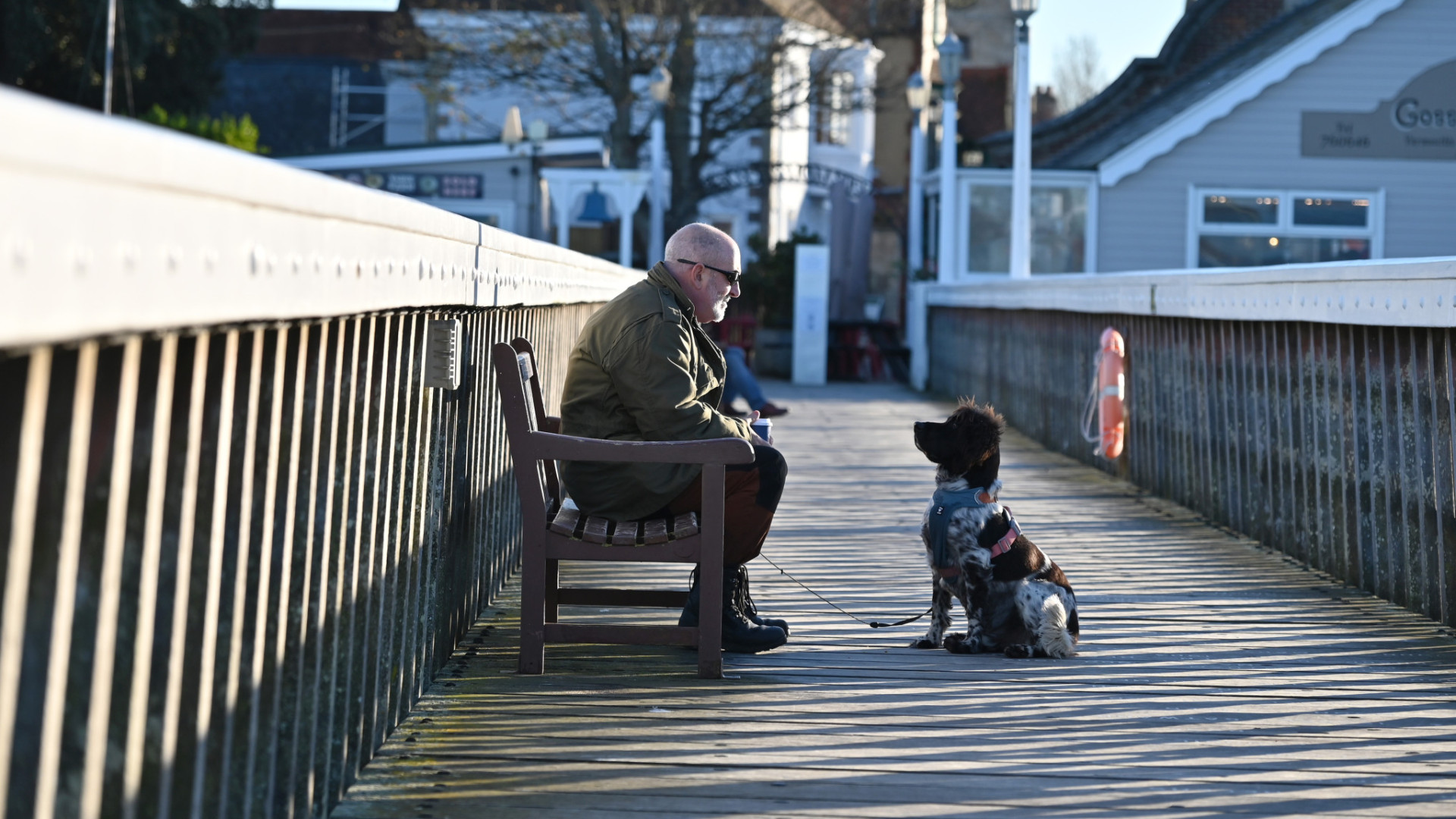 How long might your dog live?