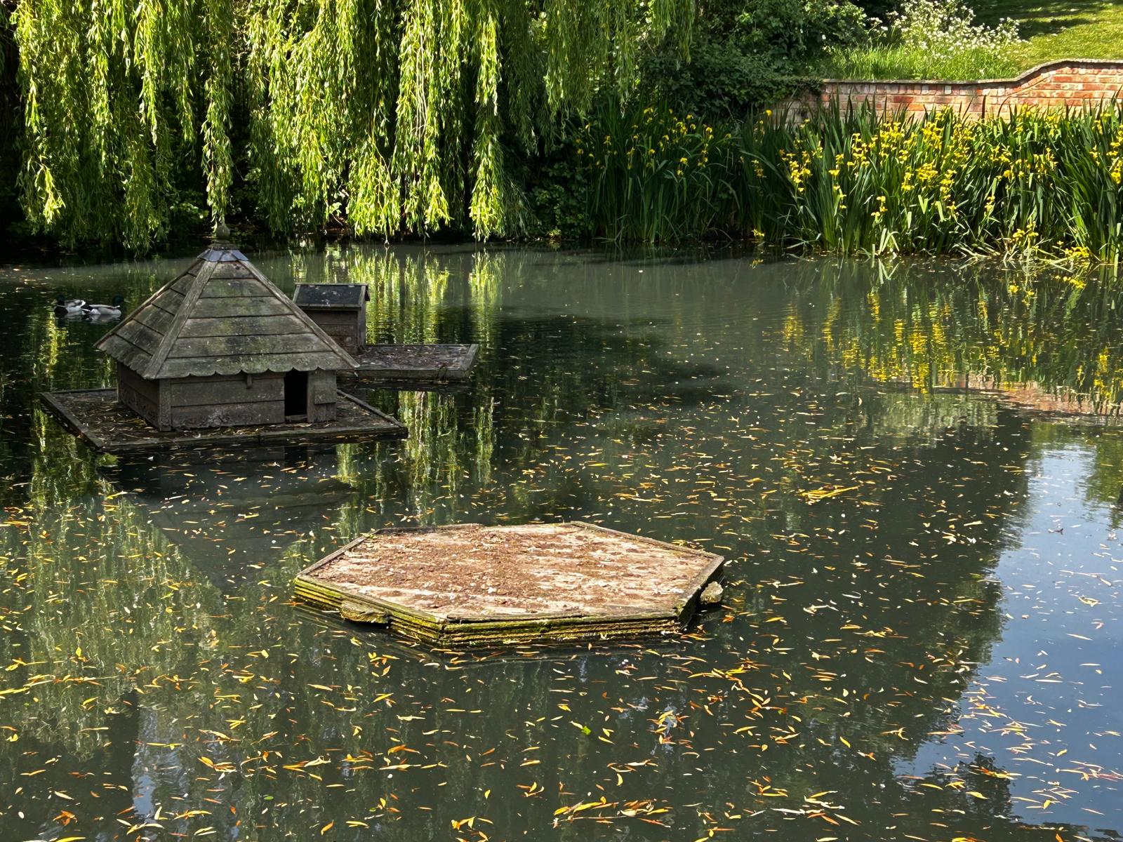 Local wildlife group unveils new pond information board in Weedon