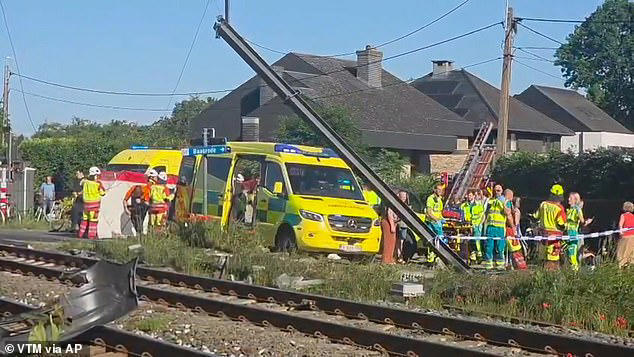 Four dead including two children as 'special needs school' bus is hit ...