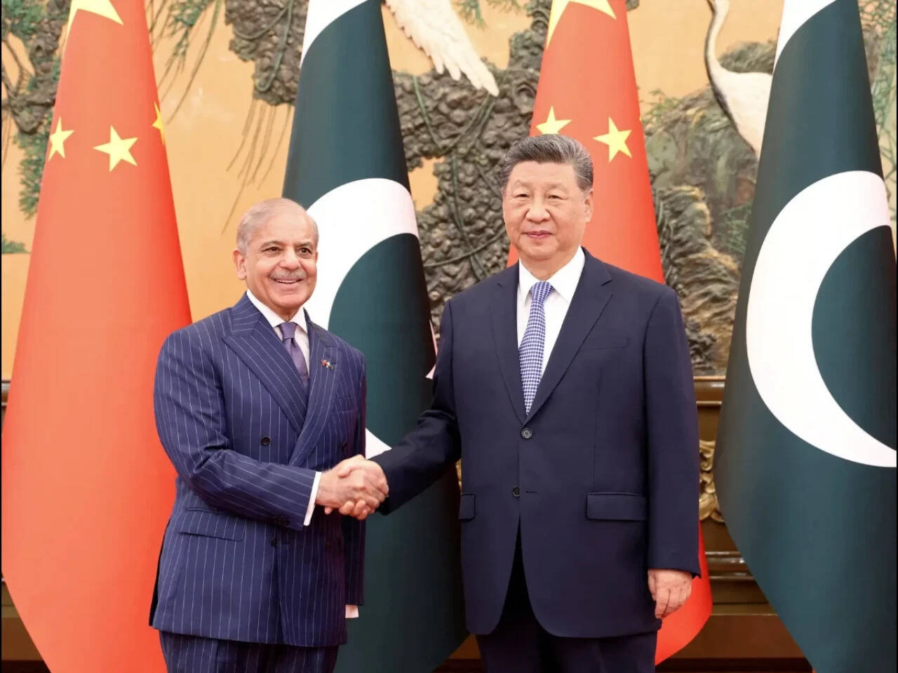 China-Pakistan agree to 'unswervingly safeguard' bilateral ties