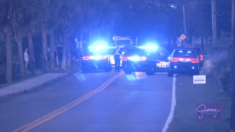 1 dead in auto-pedestrian crash on Bridge View Drive, police say