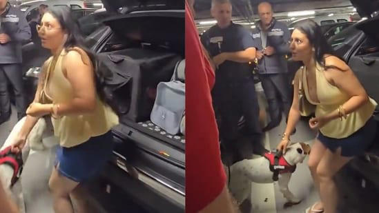 Woman faces backlash after dog found inside hot car trunk in viral clip