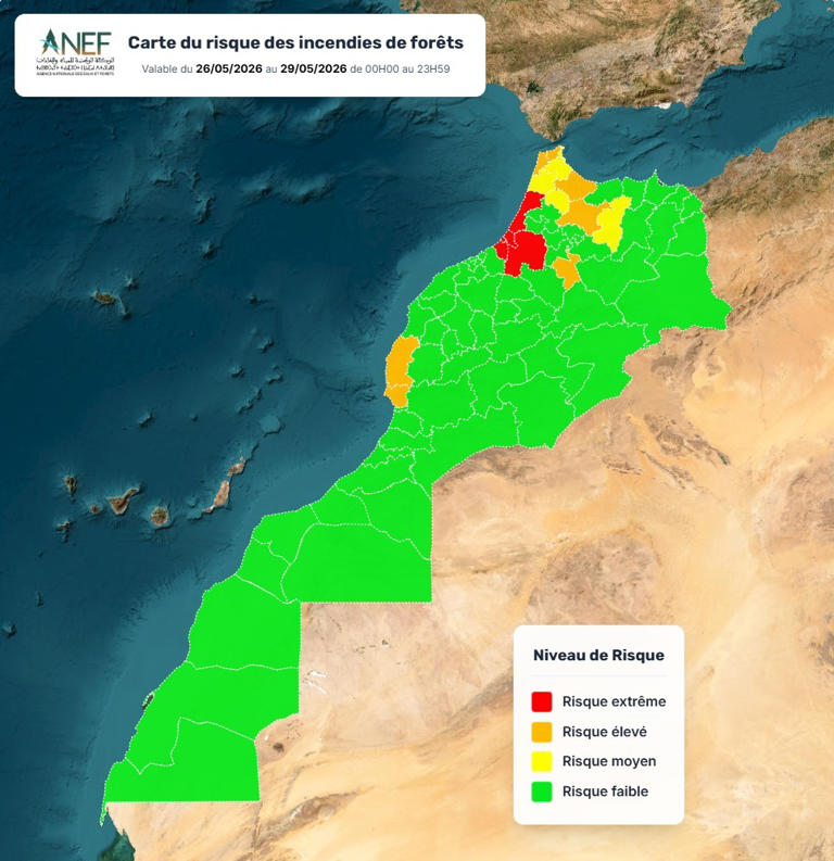 Morocco heatwave raises wildfire risk in several provinces