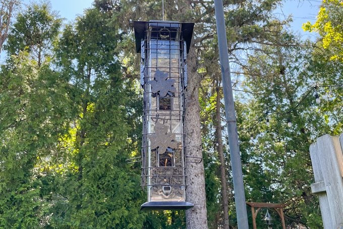 Bnba26 Squirrel Be Gone Feeder Katie Bandurski 02 Ssedit
