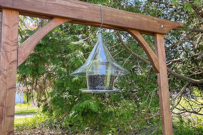 Bnba26 Sky Cafe Bird Feeder Katie Bandurski 02 Ssedit