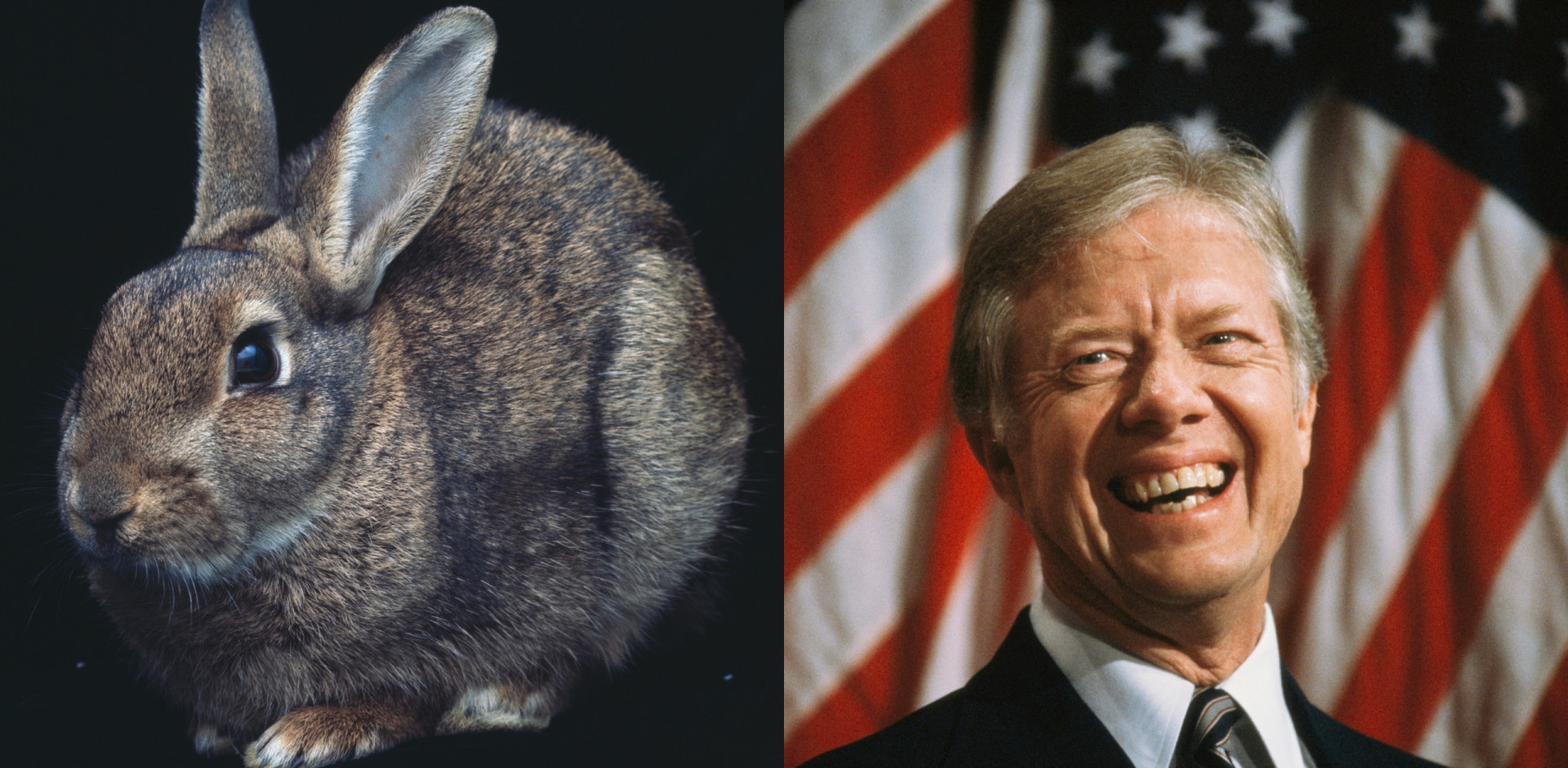 Animals that have humiliated historical leaders