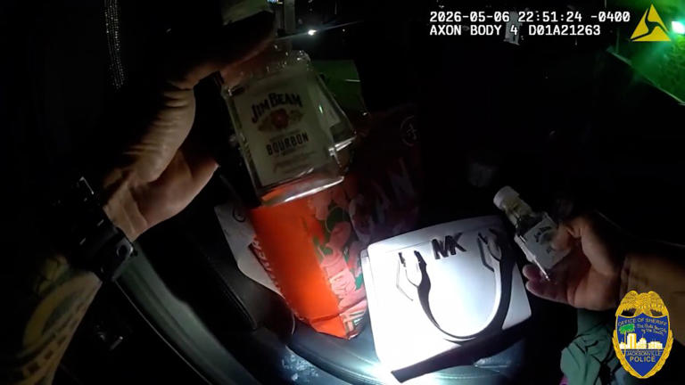 Video: Florida mom arrested for DUI at speeds over 120 mph with toddler ...