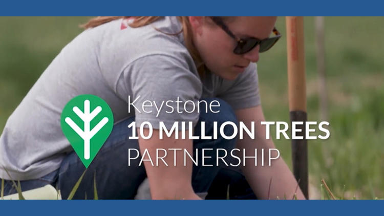 Keystone 10 Million Trees Partnership plants its 10 millionth tree