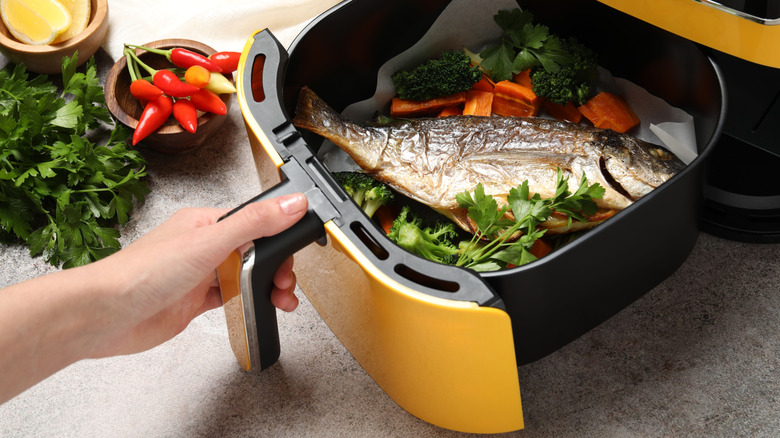 Basket vs. Oven-Style Air Fryer: Which Suits You Best?