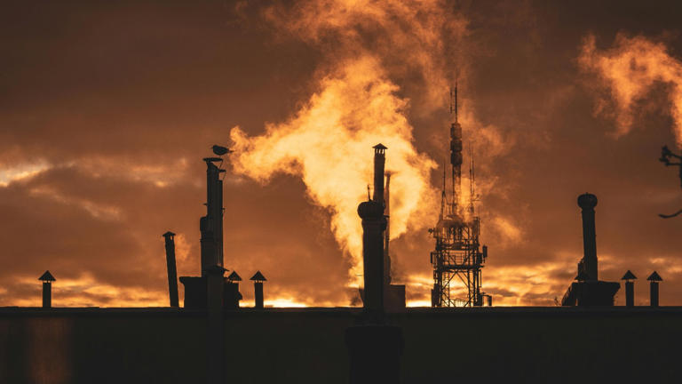US gas wells gave up a record 137 billion cubic feet a day in July