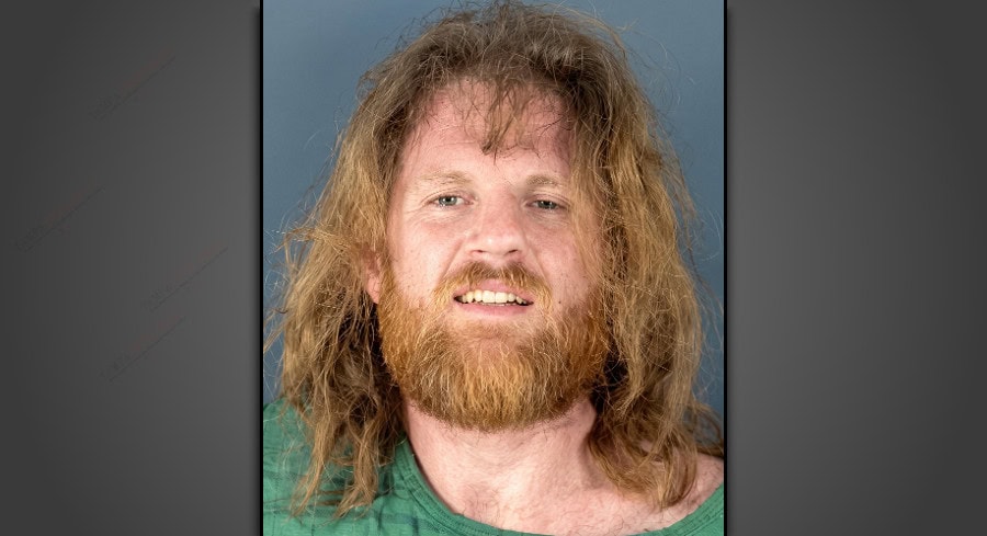 Sarasota man charged with two counts of second-degree murder and pet ...