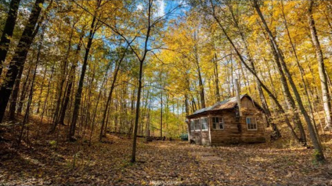Inside a rock star’s abandoned cabin now turned into an Airbnb rental